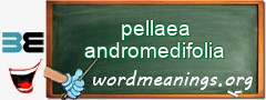 WordMeaning blackboard for pellaea andromedifolia
